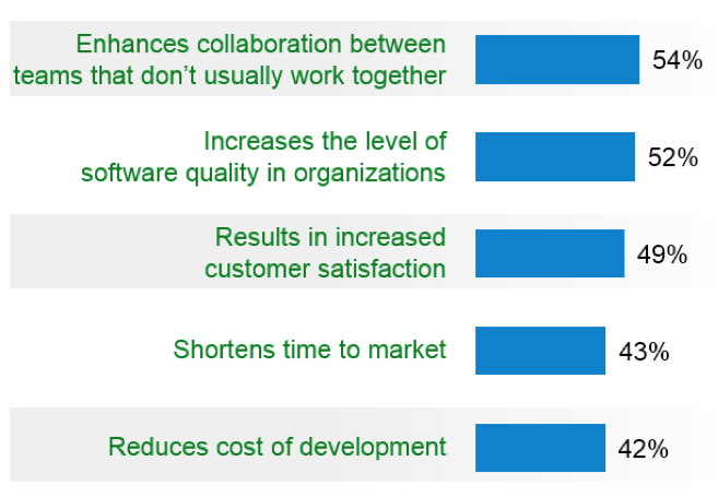 Beliefs given regarding agile adoption and its results.