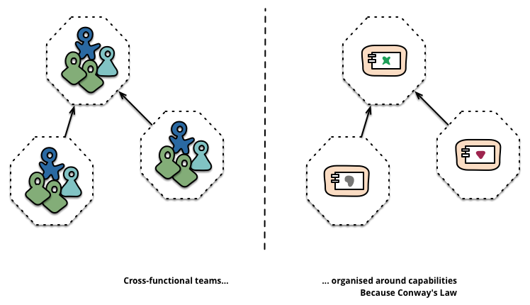 Cross-functional teams are organized around capabilities.